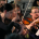Orchestra