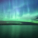 Sibelius in Summer