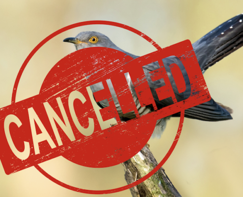 Cuckoo cancelled