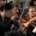 London Firebird Orchestra string players